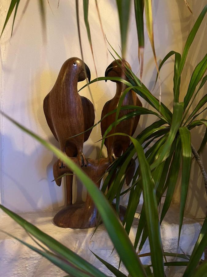 Riudecanyes La Casita De Jimenaヴィラ エクステリア 写真